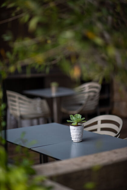 陶器白色和绿色条纹陶瓷杯在桌上家具桌面杯子