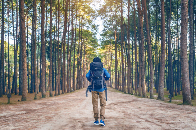 徒步旅行背着背包在森林里徒步旅行的人自然男性人