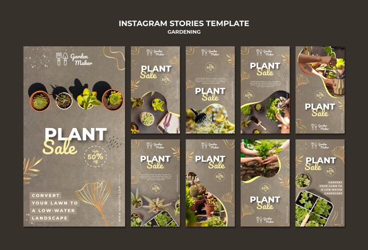 绿色园艺instagram故事模板与照片花盆花园Instagram
