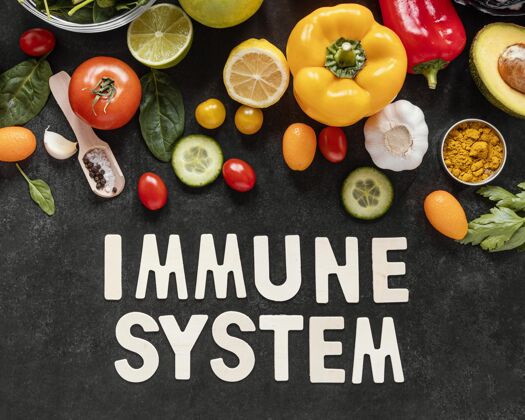 食物平铺各式健康食品 增强免疫力顶视图免疫增强营养