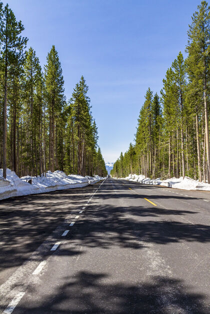 田野美国黄石国家公园冬季森林中的一条道路的垂直拍摄乡村公园空