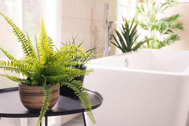 房子浴室浴缸旁边有漂亮的植物倒锅浴室