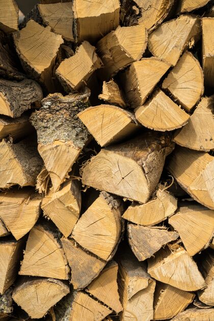 树枝橡木和山毛榉木柴的垂直镜头燃烧材料零件
