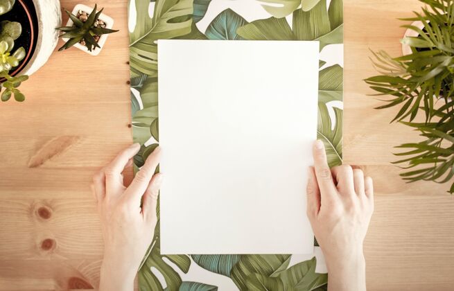 抽象手触摸一张白纸 在一个有绿色植物的木质表面上留有文本空间表面自然信息