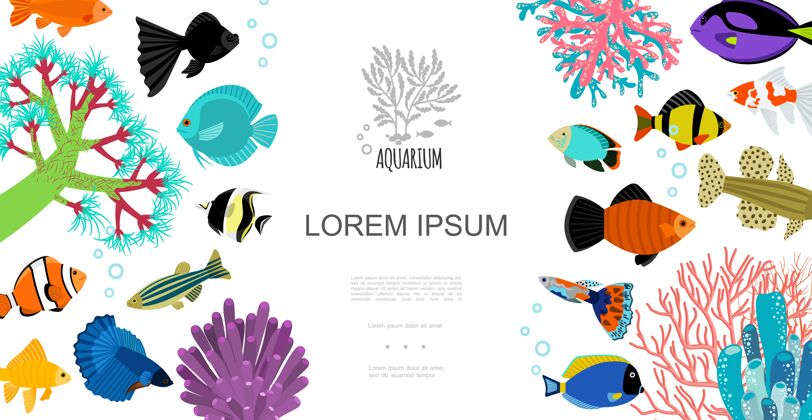 水族馆平面水族元素模板与五颜六色的鱼水泡珊瑚和海藻元素彩色水