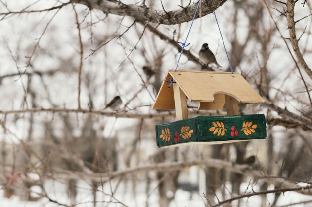 树冬天挂在树上的鸟舍的正视图冬天离焦鸟