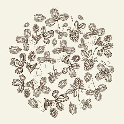 素描圆形图案串串的啤酒花涂鸦与重复美丽的浆果在白色表面手工绘制矢量插图手绘茎圆形