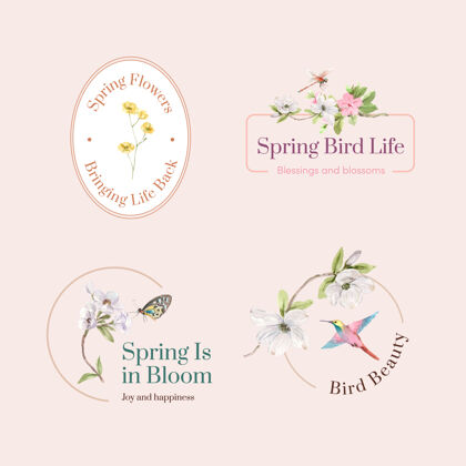 绘画标志设计与春季和鸟类概念的品牌和营销水彩插图水彩开花春天