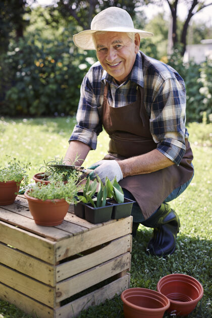 老年人在地里和植物一起干活的老男人持有帽子园艺