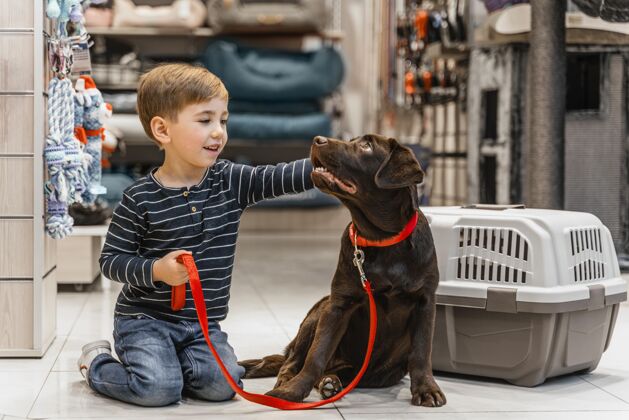 可爱可爱的棕色狗在宠物店商品动物家庭