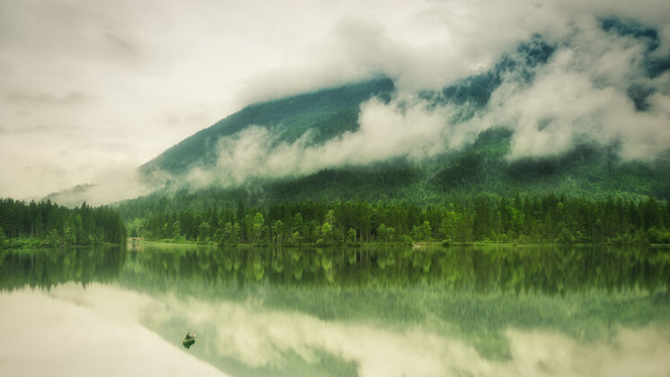 自然森林里的湖美丽雾河流