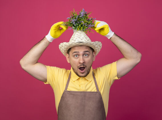 头年轻的园丁穿着连体衣 戴着帽子 戴着工作手套 头上举着盆栽植物 站在粉色的墙上 看上去既惊讶又惊讶工作看年轻