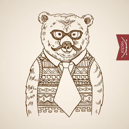 绘画熊商人肖像时髦风格的人类服装配饰戴套头衫眼镜领带衣柜熊肖像