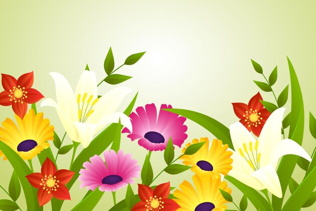 开花真实美丽的春天背景季节花植物