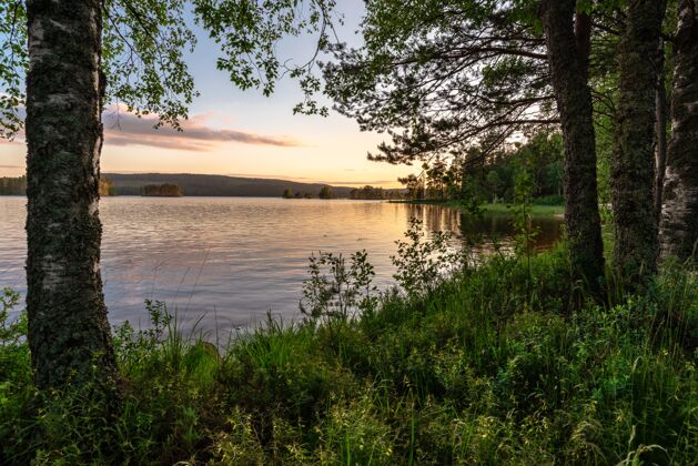 树日落时分 湖面被树木环绕 这是一张美丽的照片日落光户外