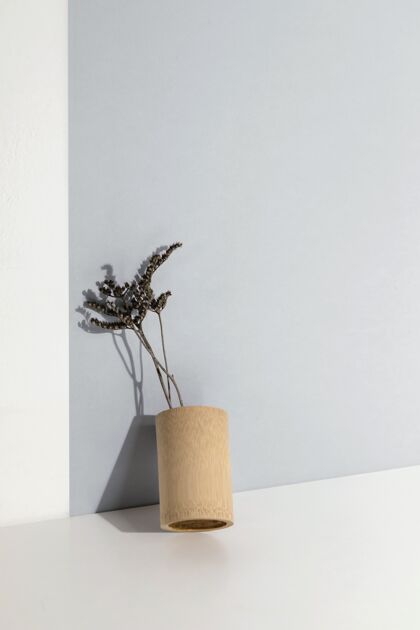 室内花瓶里的抽象植物工作室产品简约