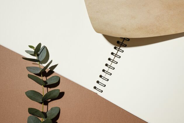 水平带植物的笔记本顶视图简约文具自然