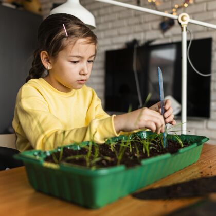 生物小女孩在家里测量芽苗菜的侧视图庭院活动园艺