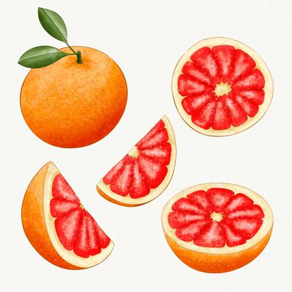 包装葡萄柚系列绘画手绘自然