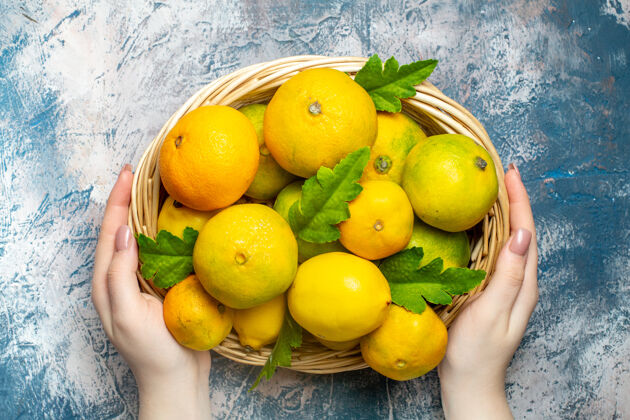 柑橘俯视新鲜的柑桔在柳条篮子在妇女手上蓝白色的表面景观柑橘新鲜的柑橘