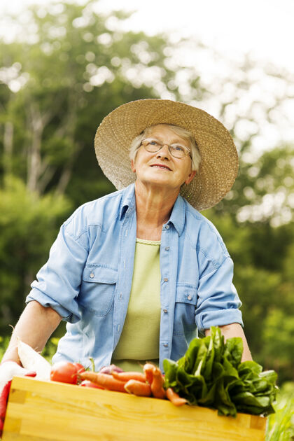 成人老妇人拿着一个盛蔬菜的盒子头和肩膀菜园抬头