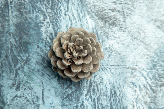 豆类顶视图松果在黑暗的表面复制的地方种子顶部珊瑚