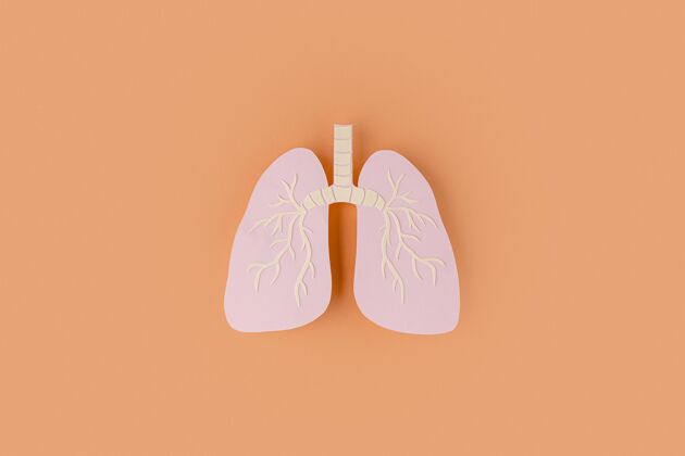 预防纸做的肺被隔离在橘子上检疫疾病症状