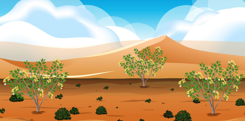 树野外沙漠景观在白天的景象干燥外面户外