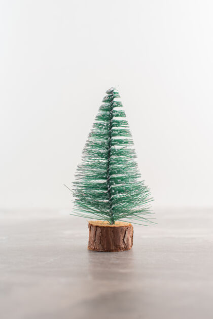 杉树圣诞松树放在木桌上十二月树圣诞