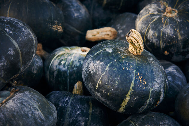 季节一堆毛茛南瓜的特写镜头南瓜自然营养