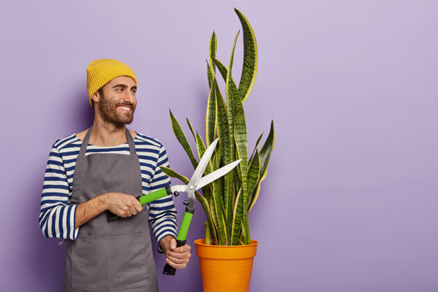 室内植物园艺工作概念开朗的花艺师或植物学家用园艺剪刀修剪盆栽植物 穿着条纹套头衫和围裙切割帽子自然