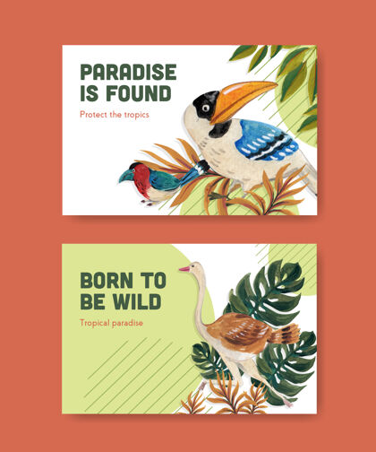 树叶Facebook模板与热带当代概念设计的社交媒体和在线营销水彩插图动物森林媒体