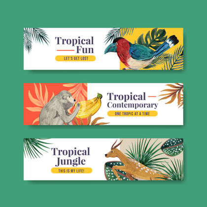 水彩横幅与热带当代概念设计广告和营销水彩插图模板森林丛林营销
