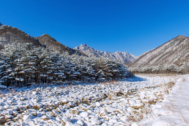 雪韩国的雪山在冬天被雪覆盖细节雪Seoraksan