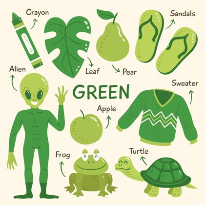 教育绿色物体和词汇教育色彩包装
