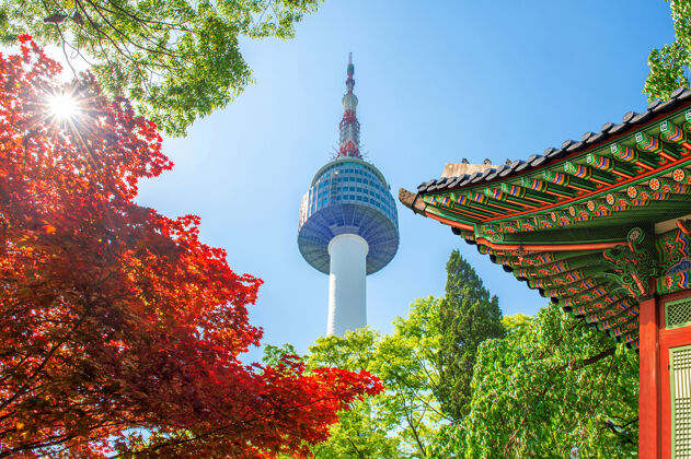 风景首尔塔与京畿道屋顶和红色的秋天枫叶在南山在韩国首尔山风景