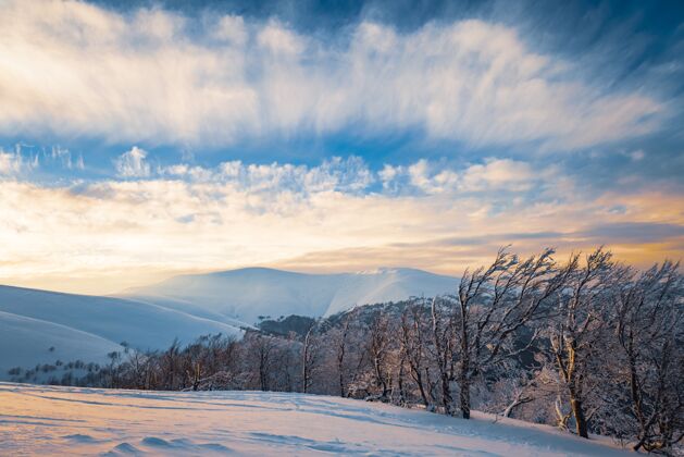 自然在一个阳光明媚的冬夜 美丽的滑雪坡景观 在干净的欧洲滑雪胜地放松的概念乡村北方降雪