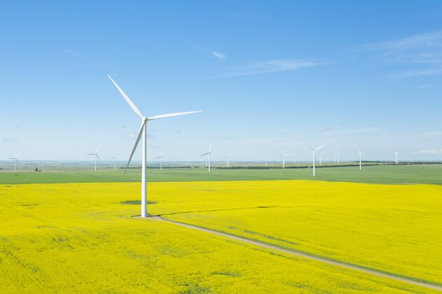 科技白天风机在一个大领域的垂直拍摄能源光保护