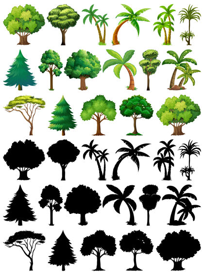 树一套植物和树木的轮廓植物收集树叶