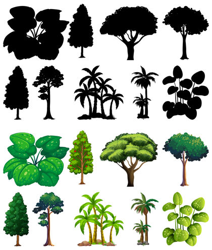 棕榈一套植物和树木的轮廓阴影设置树叶
