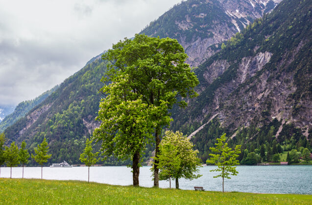 栗子阿肯西（阿肯湖）夏季景观 绿色草地和岸边的木凳（奥地利）雪阴天水