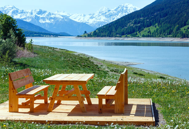 蒲公英Reschensee（或湖reschen）夏季景观与开花草地野餐木凳附近（意大利）池塘花天气