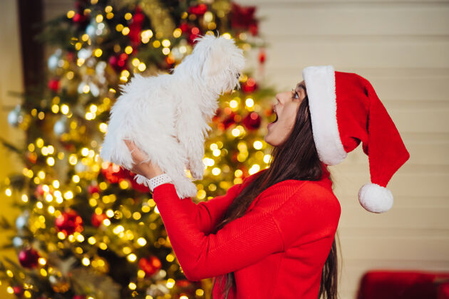 手臂除夕夜 一个女孩手上牵着一只小狗 和一个朋友在一起庆典圣诞老人阳光