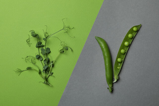 食物双色鲜豌豆快照生的种子