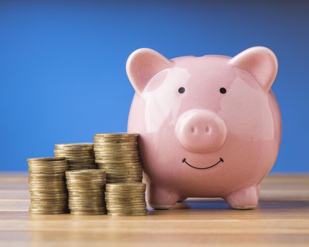 硬币前视图金融元素与粉红色小猪银行金融分析金融