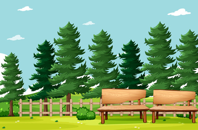 草地自然公园野餐的空旷景象公园树长凳