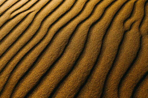 干燥沙滩上沙丘的特写镜头沙丘背景纹理