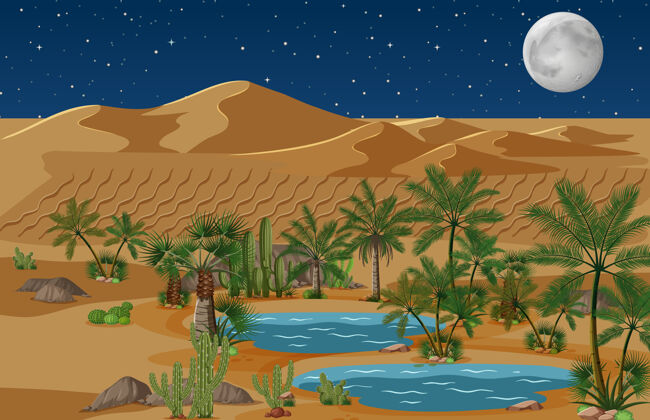 卡通沙漠绿洲与棕榈和仙人掌自然景观在夜景夜晚天空干旱