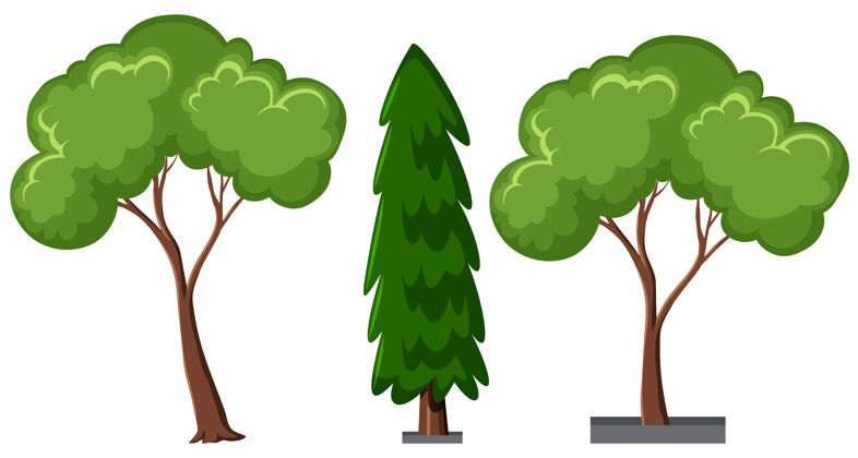 集一组不同的树隔离在白色背景上不同卡通松树